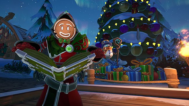 Dungeon Defenders: Awakened - Yuletide Defender