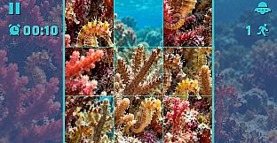 Puzzle Seahorses