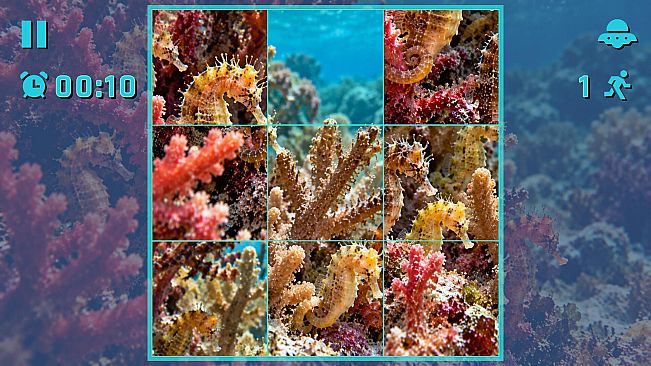 Puzzle Seahorses
