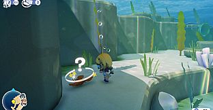 Splash Divers
