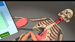 Human Constructor VR