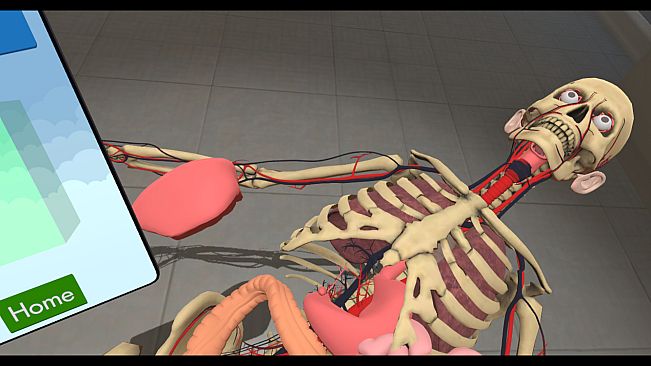 Human Constructor VR