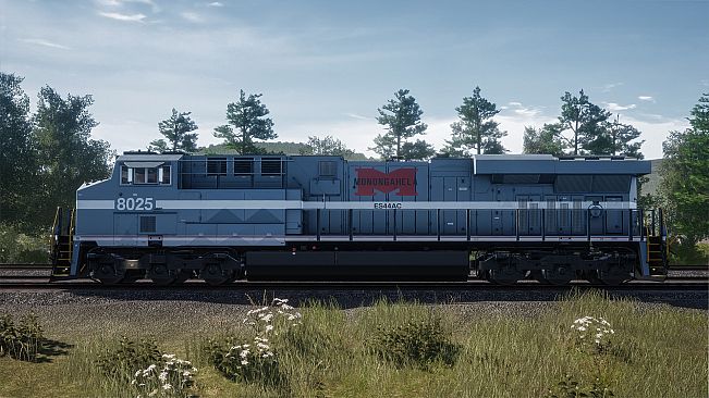Norfolk Southern Heritage Livery Collection