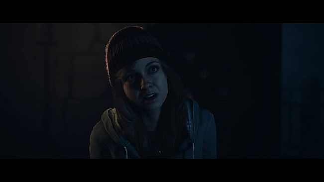 Until Dawn™