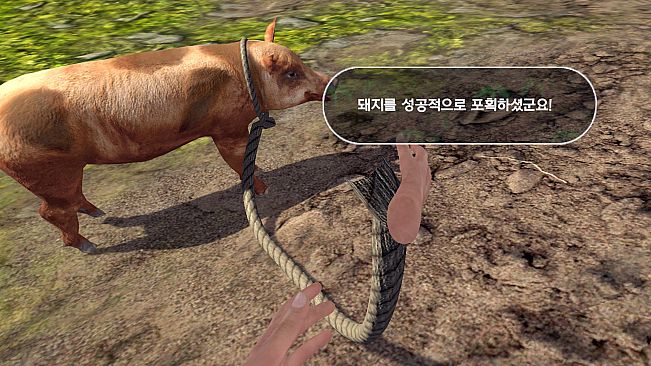 History of Korea - VR