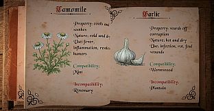 Plague Doctor: Medieval Apothecary
