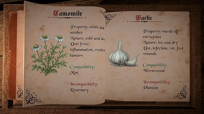 Plague Doctor: Medieval Apothecary