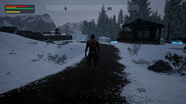 Der Pfad des Pinguins