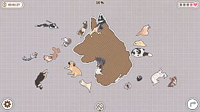 Dogs Huddled Together 挤在一起的狗狗们