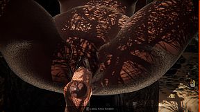 Venus in Furs: Sensual Pleasure