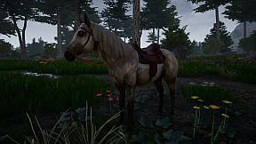 Horse Riding Deluxe 2