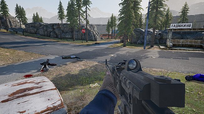 Anarchy: Summer Adventure