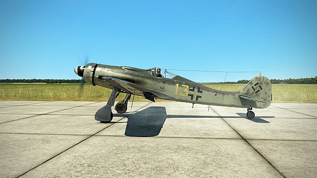 IL-2 Sturmovik: Fw 190 D-9 Collector Plane