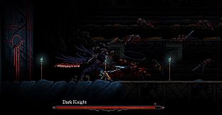 Death's Gambit: Afterlife