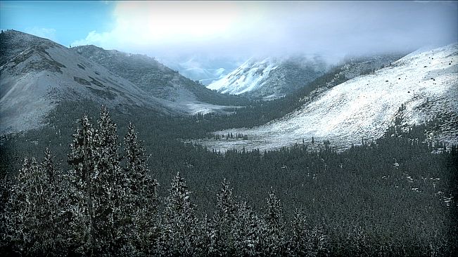 FSX: Steam Edition - FTX Trees HD Add-On