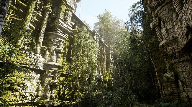 NextVisuals Benchmark Forest