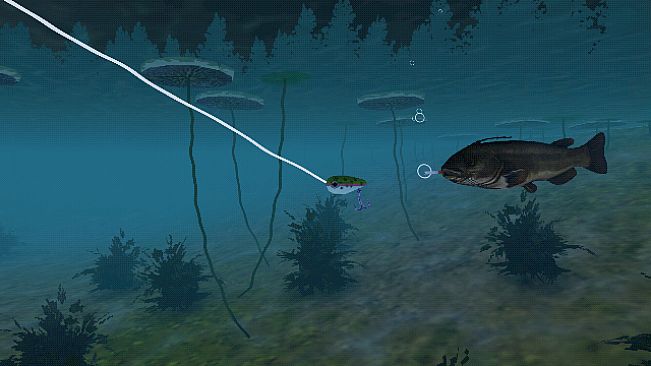 Dream Fishing