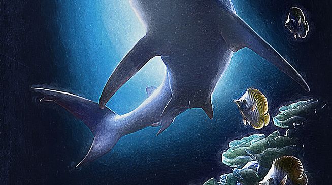 theBlu - Hammerhead Cove