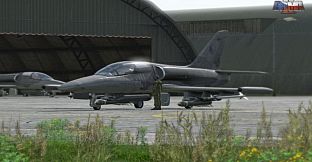 Arma 2: Army of the Czech Republic