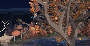 Hasami: Moonlight Trim