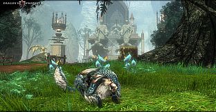 Dragon's Prophet: Free Pack