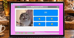 Meme Exam: Cats