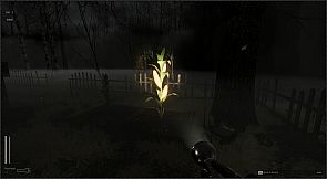 Descending The Woods