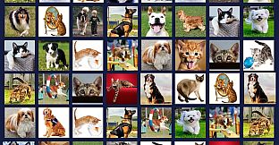 Memory Lost-Pairs - Animals