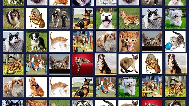 Memory Lost-Pairs - Animals