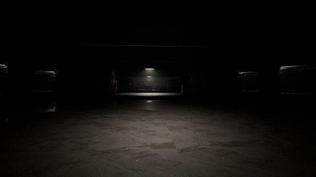 The Backrooms Experiment