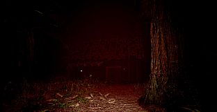 Red Light White Light