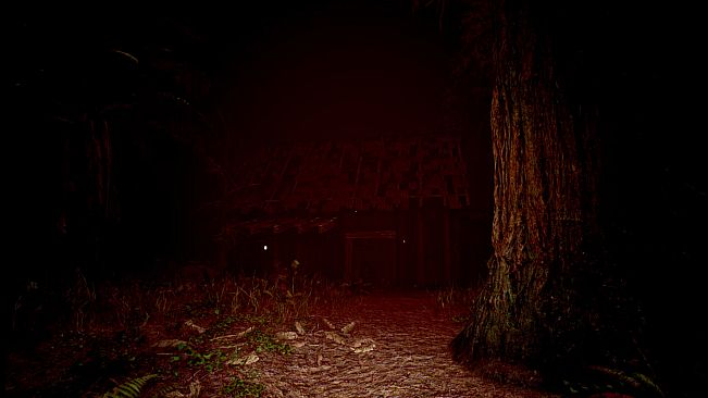 Red Light White Light