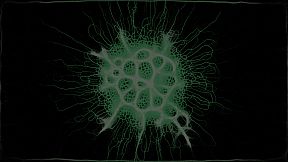 PHYSARUM: Slime Mold Simulator