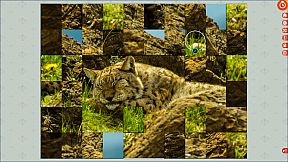 Puzzle Vacations: France