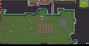Dwarf Fortress