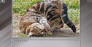 Super Jigsaw Puzzle: Generations - Cats 2