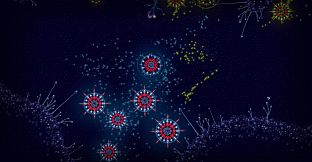 Microcosmum: survival of cells - Colors for organisms