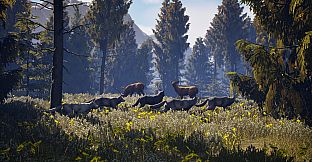 Susia - Wolf Life Simulator