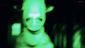 Goat Stand and Turtle Guy