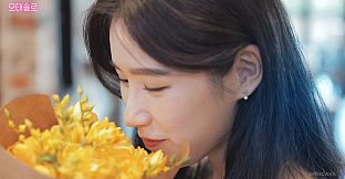 MOTESOLO : HD Wallpapers