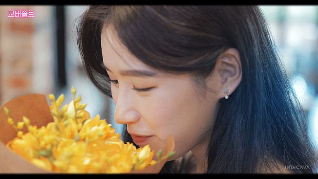 MOTESOLO : HD Wallpapers