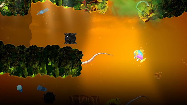 Pearls of the Oceans