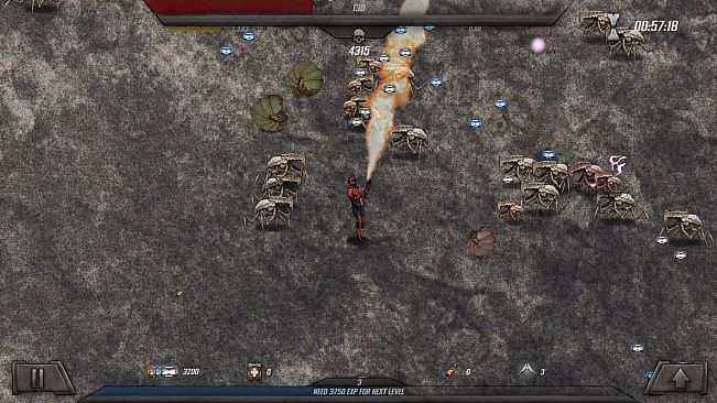 Survivors of the Mare Vitalis