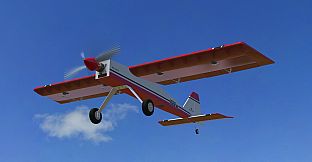 RealFlight Evolution - 2023 Year Content Pass