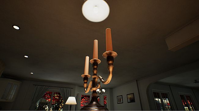 Myoka: First Person View