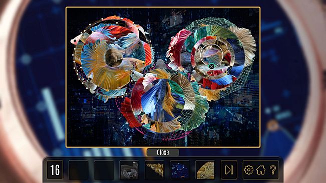 Gallery Of Things: Reveries