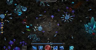 Survivors of Cloudacre