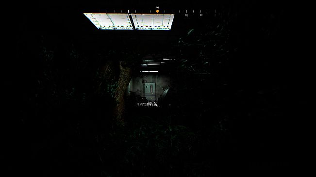 Reflection: The Greed