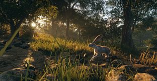 theHunter: Call of the Wild - Rancho del Arroyo