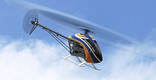 RealFlight Evolution